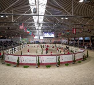 Laatste week inschrijven BWP Hengstenkeuring & Top Stallion Auction