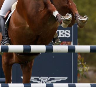 Brons voor Querlybet Hero-dochter Felitia DH vd Meerputhoeve in GP Munchen