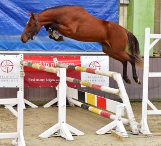 Longines Global Champions Tour of Mexico City