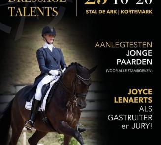 FDE International Auction: de collectie FDE International Auction: de collectie